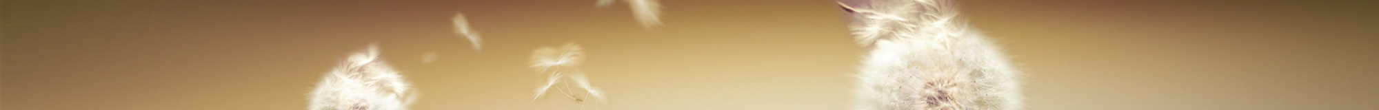 成人A片 成人A片